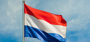 Нидерландия ще узакони евтаназията на деца