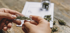 Опашки за марихуана се извиха в Илинойс (ВИДЕО)