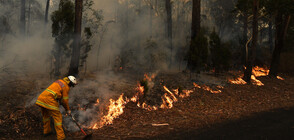 Какви са причините за опустошителните пожари в Австралия?