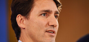Канадският премиер Трюдо завладя мрежата с нова визия (СНИМКА)