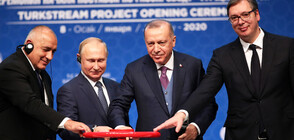 Путин, Ердоган, Борисов и Вучич откриха официално „Турски поток” (ВИДЕО+СНИМКИ)
