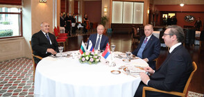 Лидерите на Турция, Русия, България и Сърбия на работна вечеря в Истанбул