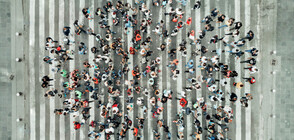 Най-добрите градове за живеене на планетата (ГАЛЕРИЯ)