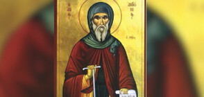 Bulgaria celebrates St. Anthony's Day