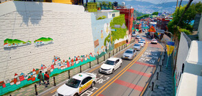 Може ли бивш бежански лагер да се превърне в цветно селище? (ГАЛЕРИЯ)