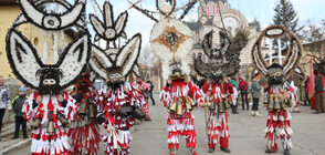 Фестивалът „Сурова” в Брезник (СНИМКИ)