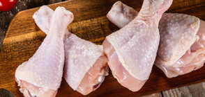 Ръст на сигналите за заразено със салмонела пилешко месо от Полша