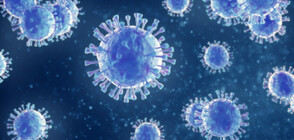 Новата мутация на коронавируса е открита и в Канада