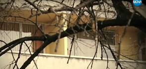 СЛЕД РАЗСЛЕДВАНЕ НА NOVA: Уволниха две болногледачки от „Дома на ужасите” в Пловдив