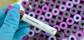 Какво знаем за коронавируса?