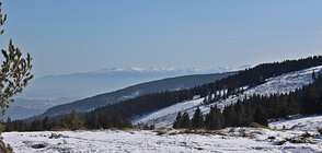 Еколог посочи опасностите от зимата без сняг