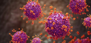 Два случая на заразени с коронавирус в Канада