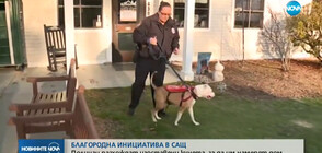 Полицаи разхождат изоставени кучета, за да им намерят дом