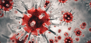 Игра, посветена на коронавируса, беше забранена в Китай (СНИМКА)