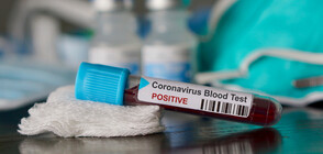 Над 23 000 души в Китай болни от коронавирус