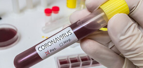 Роботи помагат в борбата с коронавируса в Ухан (ВИДЕО+СНИМКИ)
