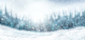 Рекордни студове в Турция