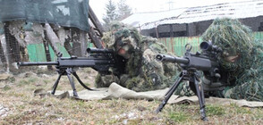 Съвместни тренировки на български и американски снайперисти край Смолян (ВИДЕО+СНИМКИ)