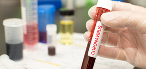 СЗО: Рано е да се предскаже кога ще настъпи краят на епидемията от коронавируса
