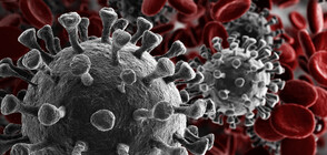Шестима китайски медици станаха жертва на коронавируса
