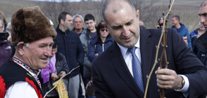 Румен Радев заряза лозята в Ивайловград (ВИДЕО)