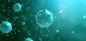 Забавя се разпространението на опасния коронавирус в Китай