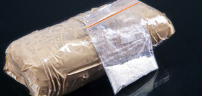 Разбиха кокаинов картел в Черна гора