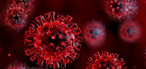 В Ухан има 195 случая на повторно заразени с коронавируса