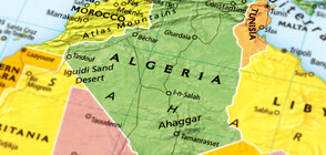 Алжир потвърди първи случай на коронавирус на своя територия
