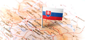 Опозицията печели изборите в Словакия