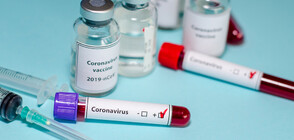 Сърбия потвърди за първи случай на коронавирус