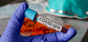 ИЗВЪНРЕДНО: Две положителни проби за коронавирус в България (ВИДЕО)