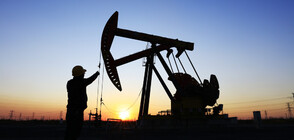 Цената на петрола се срина с над 20%