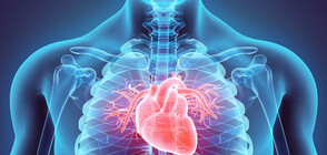 ЗА 30 СЕКУНДИ: Какво се случва в тялото ви? (ВИДЕО)