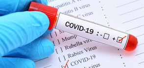 Очакват се резултатите от над 130 проби за коронавирус у нас