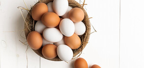 Защо трябва да купуваме бели яйца?