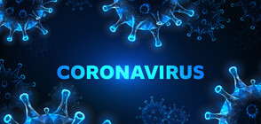 7 нови случая на коронавирус в Сърбия