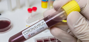 6 нови случая на коронавирус у нас (ВИДЕО)