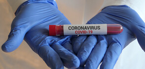 8 нови заразени с коронавирус в Сърбия