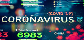 Големите технологични компании ще се борят срещу дезинформацията относно коронавируса