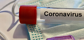 УЧЕНИ: Хората с кръвна група А са по-застрашени от заразяване с COVID-19
