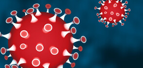 Още страни с крути мерки за ограничаване на разпространението на коронавируса