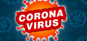 Първи случаи на коронавирус в Черна гора