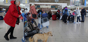 Кипър налага двуседмична забрана за полети от 28 страни, сред които и България
