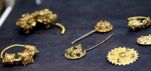 НАИМ-БАН предоставя дигитални ресурси със свободен достъп