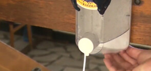 Доброволци поставиха дезинфектанти в центъра на Казанлък