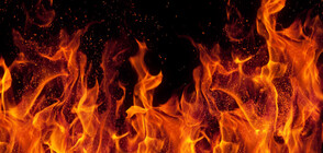 Пожар гори в района на село Плана