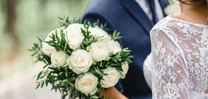 Чехия разреши организирането на малки сватби