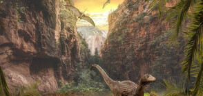 Ясна е причината за измирането на динозаврите