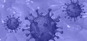 Първа положителна проба за коронавирус от Казанлък